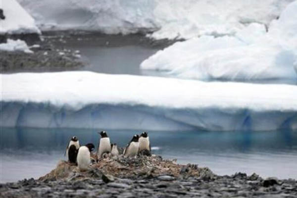 Santa leda teška 315 milijardi tona odvojila se od Antarktika