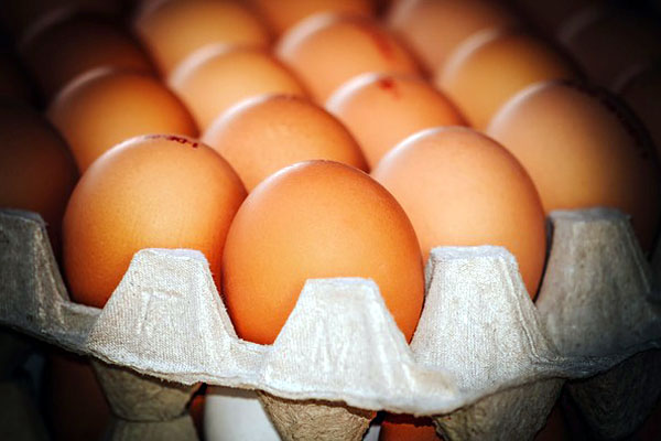 Nova pravila na tržištu jaja u Srbiji od 01. januara