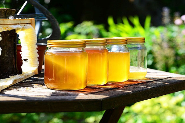Otkud antibiotik u medu iz Srbije izvezenom u Norvešku?