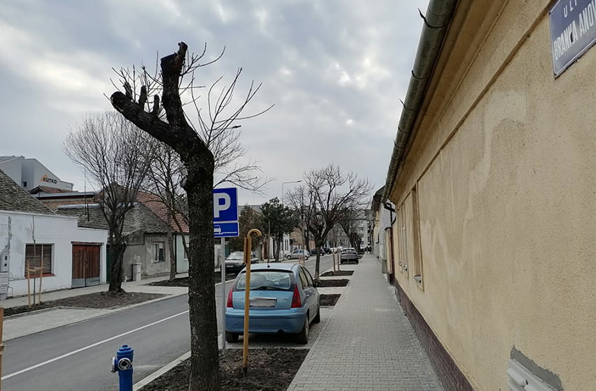 narodna stranka pancevo, radomir orlovic, biciklisticke staze