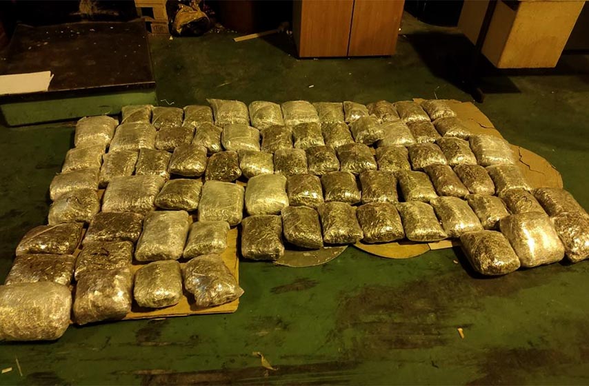 granicni prelaz gradina, marihuana
