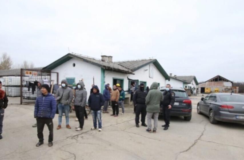 linglong, radnici iz vijetnama, zrenjanin