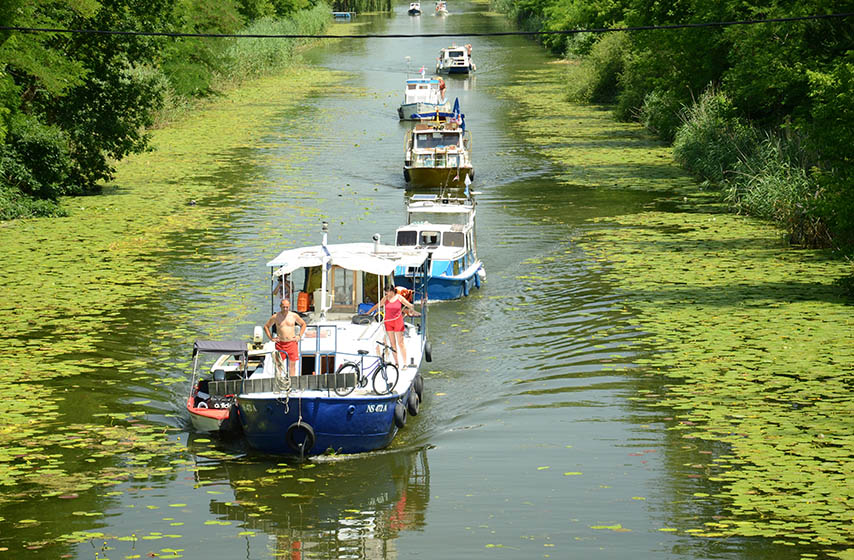 regata, vode vojvodine