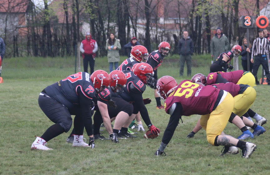 banat bulls, banatski bikovi, americki fudbal