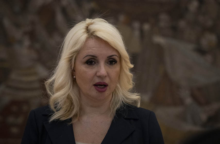 darija kisic tepavcevic