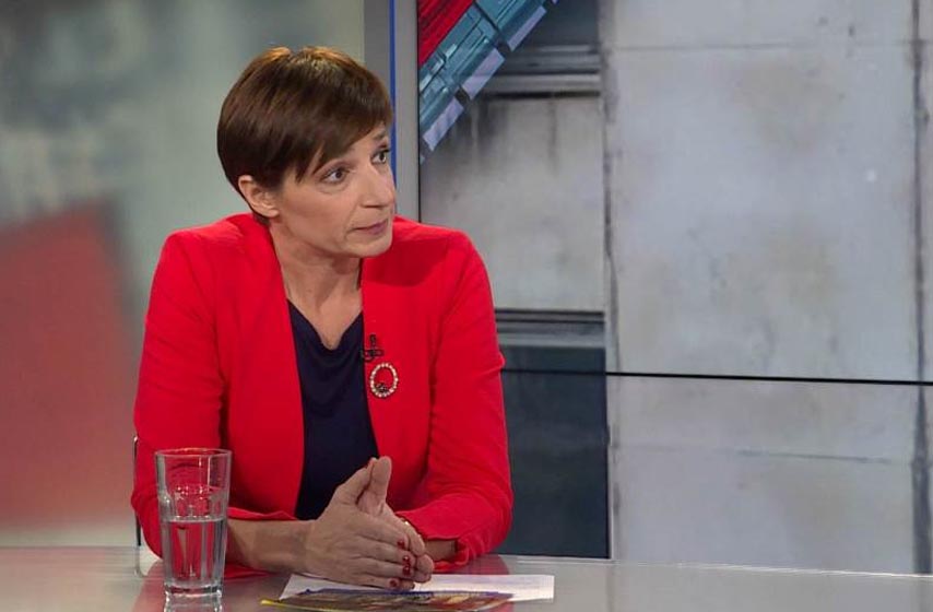 poljoprivredni avioni, vrsac, pozar, ds, demokratska stranka