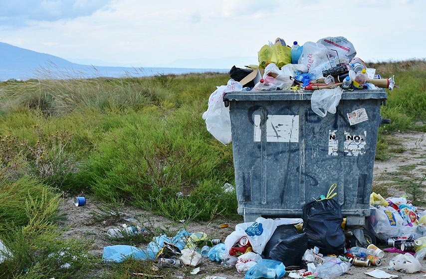 lanac ishrane, bacena plastika