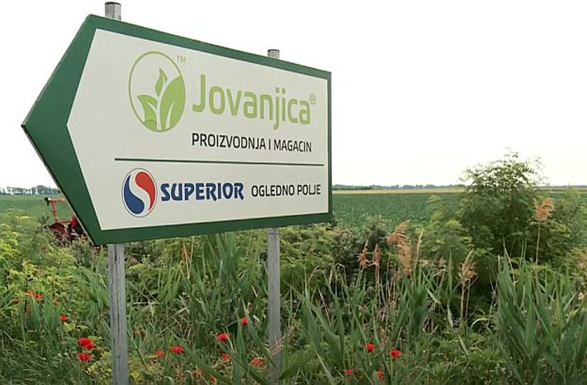 jovanjica, jovanjica 2