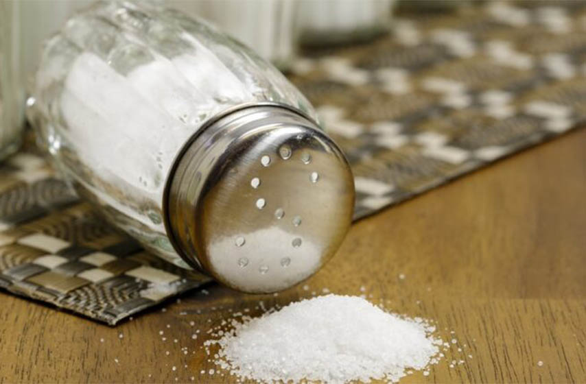 dnevni unos soli u organizam