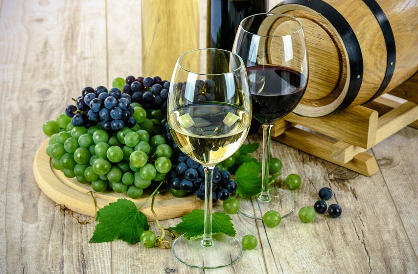 24. vinarijada dolovo