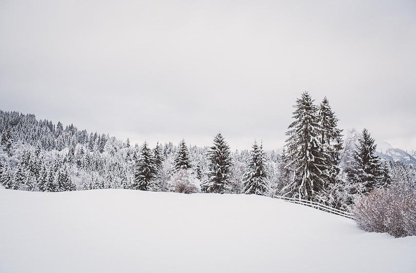 crna gora, temperatura, rekordna temperatura