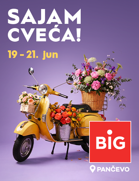 BIG SAJAM CVEĆA