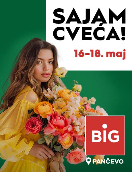 BIG SAJAM CVEĆA