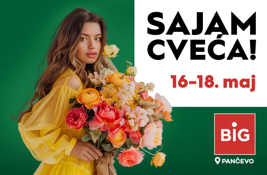 BIG SAJAM CVEĆA