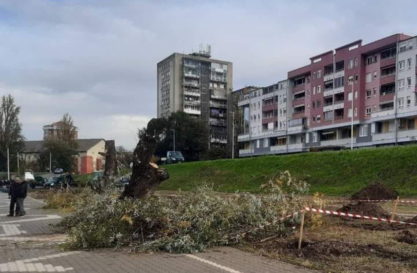 zeleno levi front pancevo