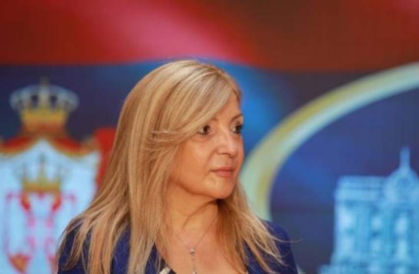 tatjana manojlovic, demokratska stranka