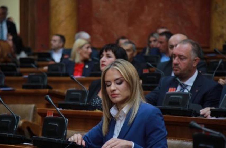 milica djurdjevic, pravni poredak, evroprajd