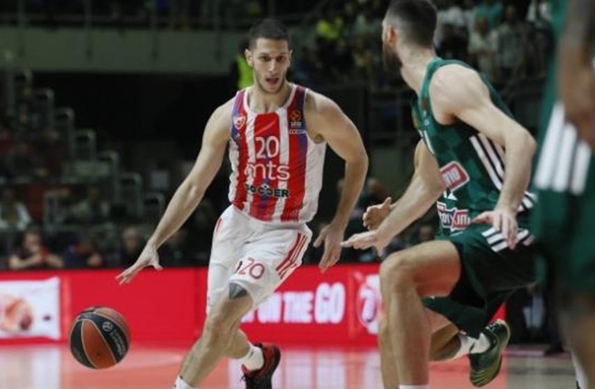 kk crvena zvezda, panatinaikos