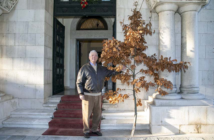 princ aleksandar karađorđević, božićna čestitka