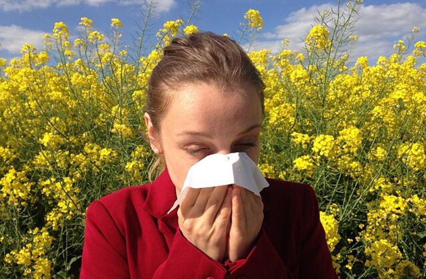 alergija, zdravlje