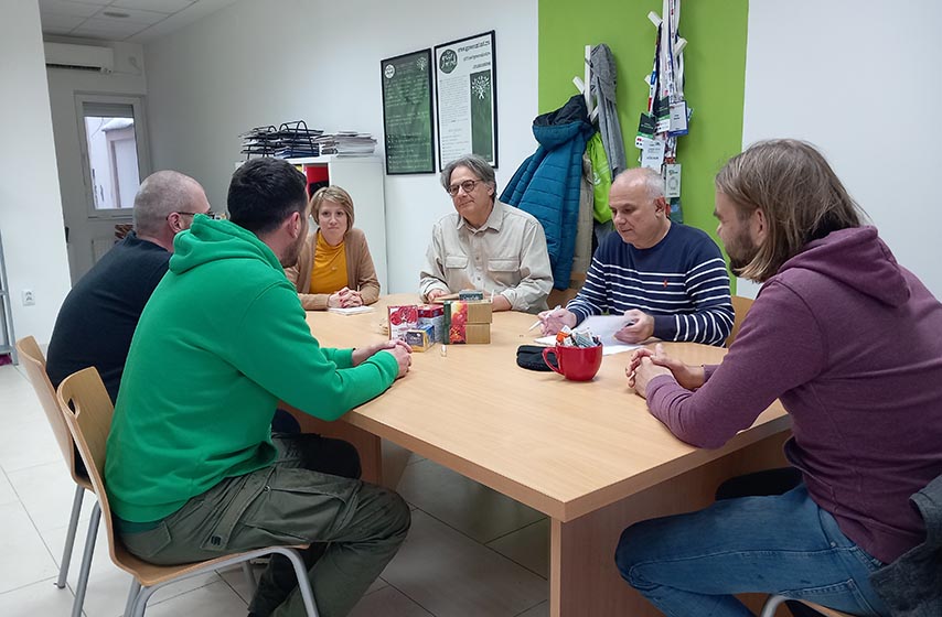 sinisa jankovic, ocd kareja, kareja pancevo, pancevo