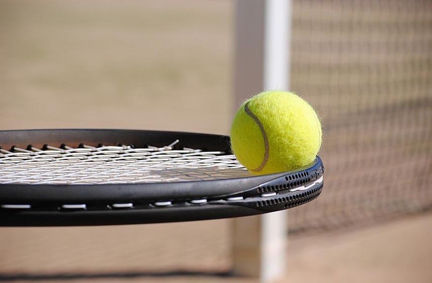 dusan lajovic, tenis