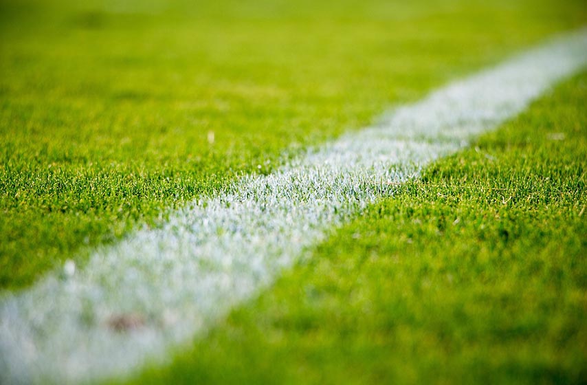 fk vojvodina, polufinale, kup srbije, fudbal