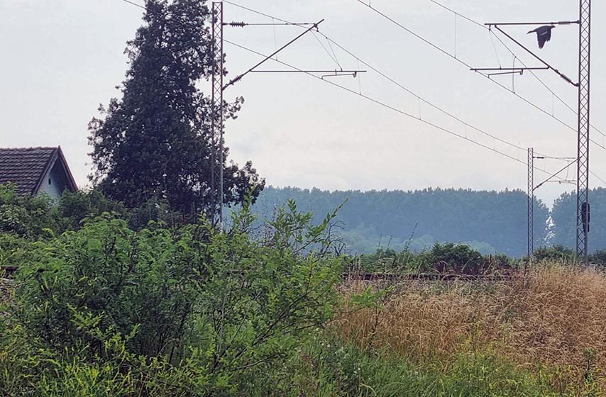 jkp higijena, pozar, pancevo, stara deponija