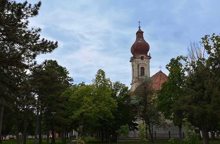 seoska slava mandalina, sefkerin, slava, pancevo