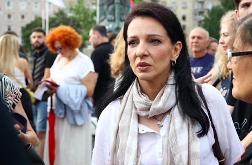 marinika tepic, ssp, stranka slobode i pravde, inspektor milenkovic