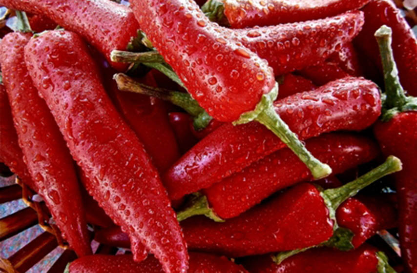 banatski brestovac, paprika