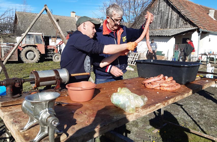 svinjokolj,dozvola,afrička kuga