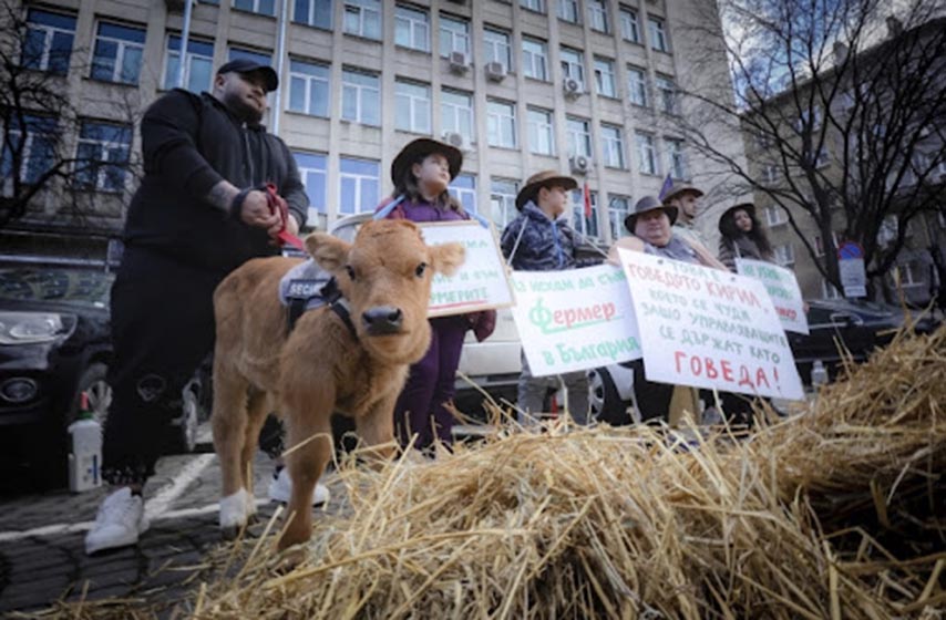 bugarska, poljoprivrednici, protest