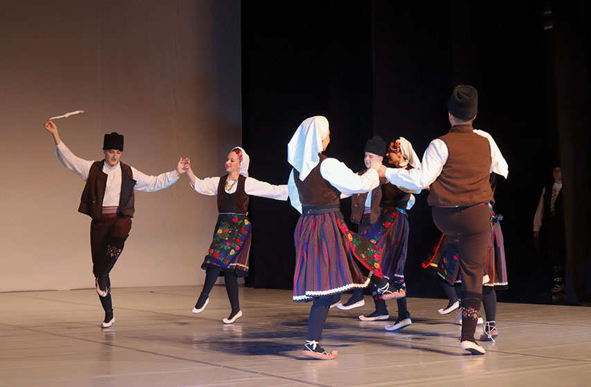 pancevo, skolsko takmicenje, baletska skola dimitrije parlic, pancevo