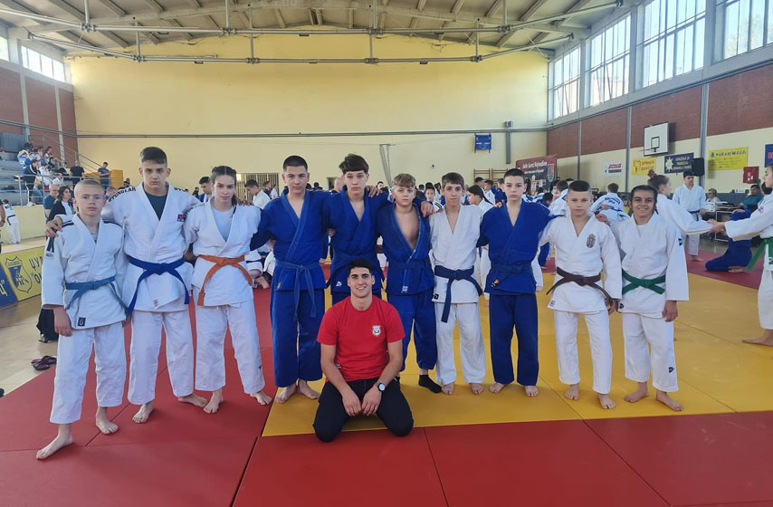 judo tamis, pancevo