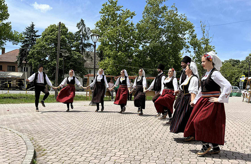 kud zisel omoljica, kud zisel, omoljica, vranjsko polje, vlaske igre