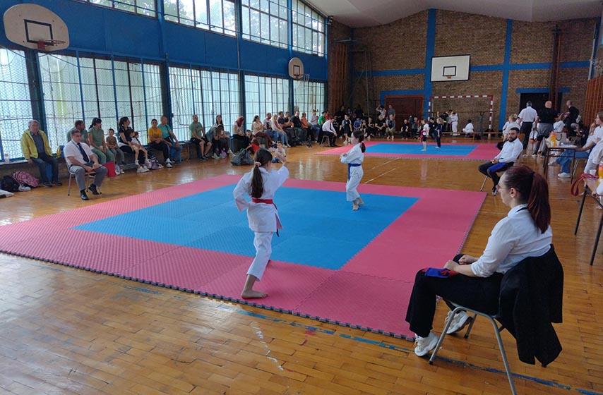 karate klub dolovo, karate turnir prijateljstva, dolovo