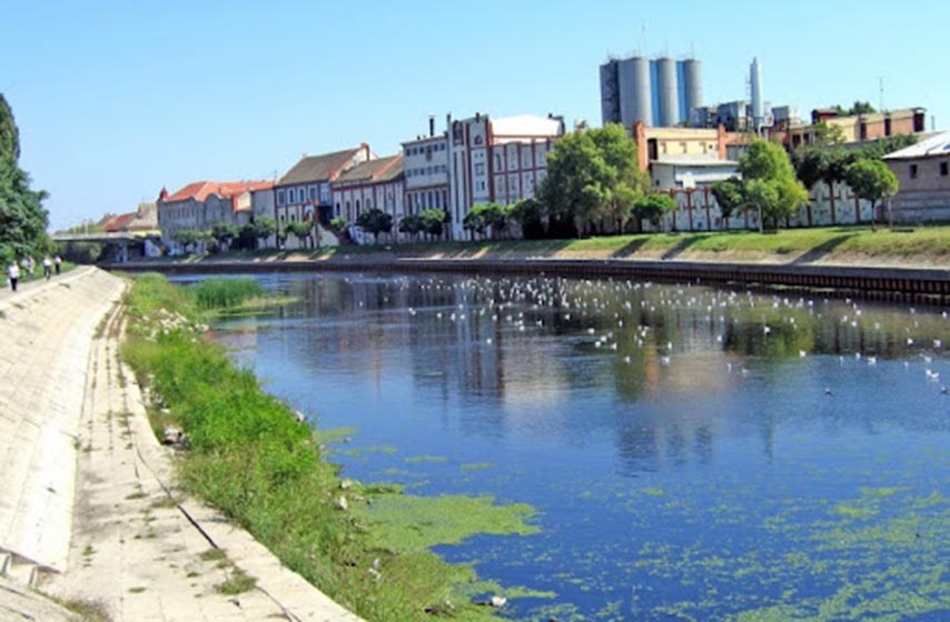ubistvo, zrenjanin