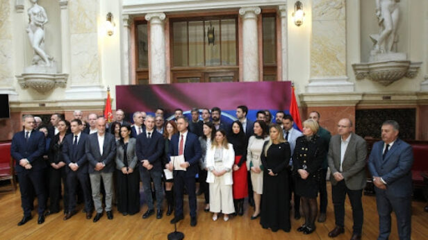 radna grupa za unapređenje izbornog procesa