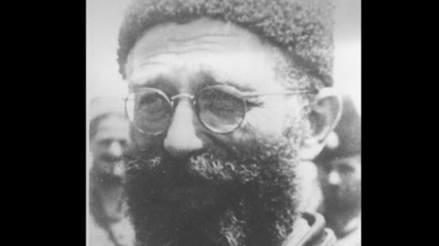 zlf, peticija, spomenik drazi mihajlovicu, park usce