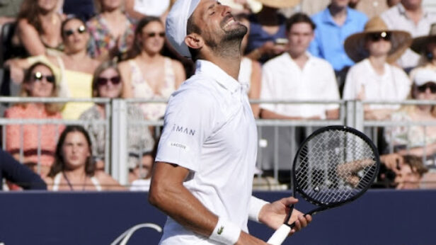 tenis, novak djokovic, vimbldon