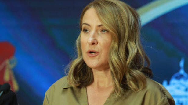 snezana paunovic, politika, sps, vanredni izbori