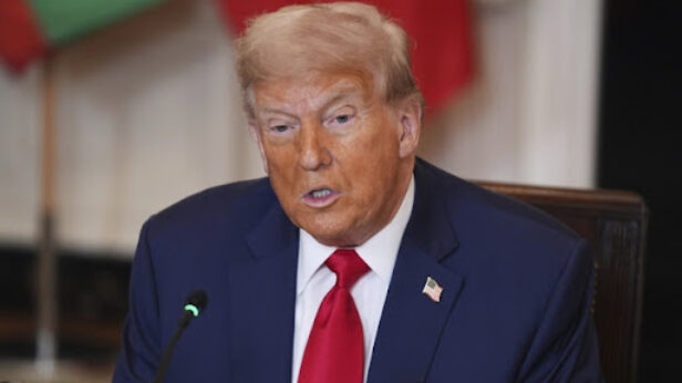 donald tramp, carine