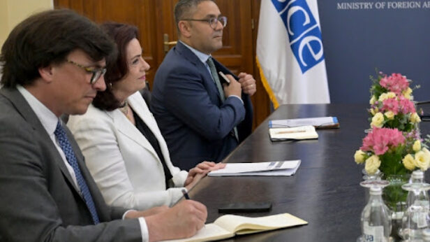 ana jakovljevic, nps, narodni pokret srbije, k-013, vesti srbija