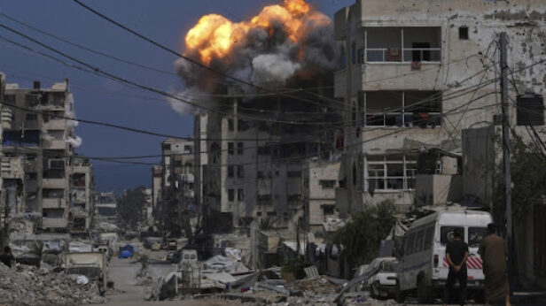 rat, gaza