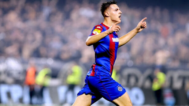 andrej kostic, fk partizan, tik tok
