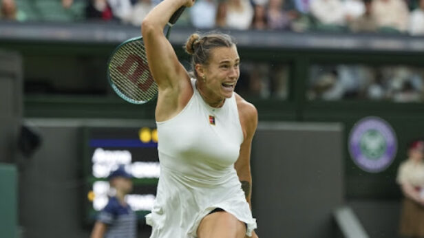 tenis, sabalennka, vimbldon